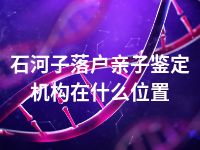 石河子落户亲子鉴定机构在什么位置