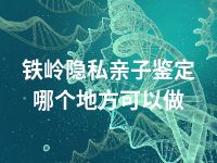 铁岭隐私亲子鉴定哪个地方可以做