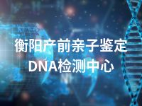 衡阳产前亲子鉴定DNA检测中心