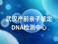 武汉产前亲子鉴定DNA检测中心