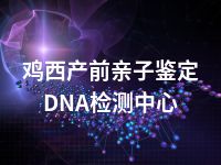 鸡西产前亲子鉴定DNA检测中心