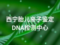 西宁胎儿亲子鉴定DNA检测中心