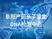 阜阳产前亲子鉴定DNA检测中心