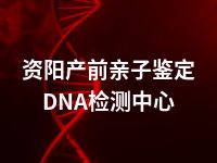 资阳产前亲子鉴定DNA检测中心