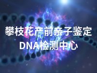 攀枝花产前亲子鉴定DNA检测中心