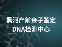 黑河产前亲子鉴定DNA检测中心