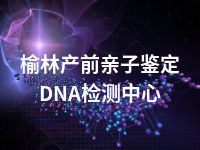 榆林产前亲子鉴定DNA检测中心