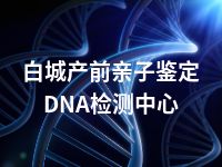 白城产前亲子鉴定DNA检测中心