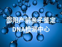 邵阳产前亲子鉴定DNA检测中心