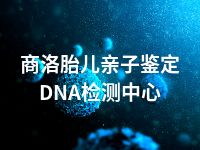 商洛胎儿亲子鉴定DNA检测中心