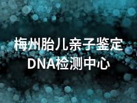 梅州胎儿亲子鉴定DNA检测中心