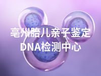 亳州胎儿亲子鉴定DNA检测中心