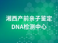 湘西产前亲子鉴定DNA检测中心