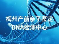 梅州产前亲子鉴定DNA检测中心