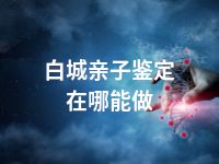 白城亲子鉴定在哪能做