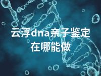 云浮dna亲子鉴定在哪能做