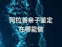 阿拉善亲子鉴定在哪能做