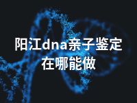 阳江dna亲子鉴定在哪能做