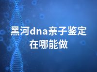 黑河dna亲子鉴定在哪能做