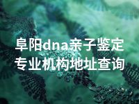 阜阳dna亲子鉴定专业机构地址查询