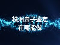 株洲亲子鉴定在哪能做