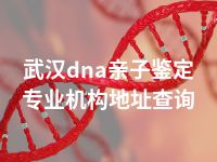 武汉dna亲子鉴定专业机构地址查询