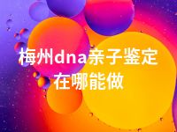 梅州dna亲子鉴定在哪能做