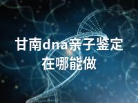 甘南dna亲子鉴定在哪能做