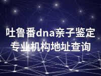 吐鲁番dna亲子鉴定专业机构地址查询