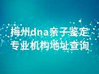 梅州dna亲子鉴定专业机构地址查询