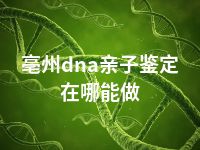 亳州dna亲子鉴定在哪能做