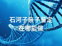 石河子亲子鉴定在哪能做