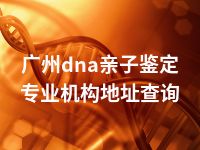 广州dna亲子鉴定专业机构地址查询