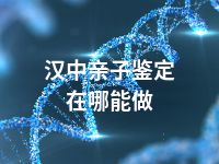 汉中亲子鉴定在哪能做