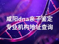 咸阳dna亲子鉴定专业机构地址查询