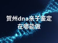 贺州dna亲子鉴定在哪能做