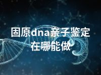 固原dna亲子鉴定在哪能做