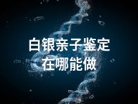 白银亲子鉴定在哪能做