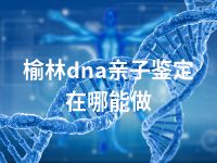 榆林dna亲子鉴定在哪能做