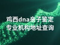 鸡西dna亲子鉴定专业机构地址查询