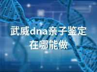 武威dna亲子鉴定在哪能做