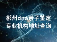 郴州dna亲子鉴定专业机构地址查询