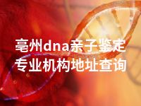 亳州dna亲子鉴定专业机构地址查询