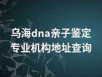 乌海dna亲子鉴定专业机构地址查询