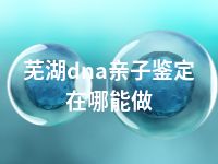 芜湖dna亲子鉴定在哪能做