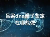 吕梁dna亲子鉴定在哪能做