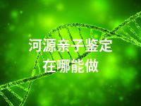 河源亲子鉴定在哪能做