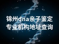 锦州dna亲子鉴定专业机构地址查询