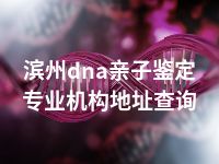 滨州dna亲子鉴定专业机构地址查询