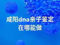 咸阳dna亲子鉴定在哪能做